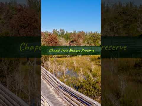 Things to do in Pembroke Pines, Florida video thumbnail